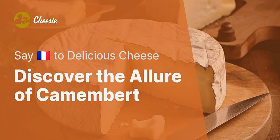 Discover the Allure of Camembert - Say π«π· to Delicious Cheese